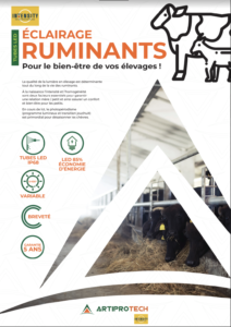 ruminants